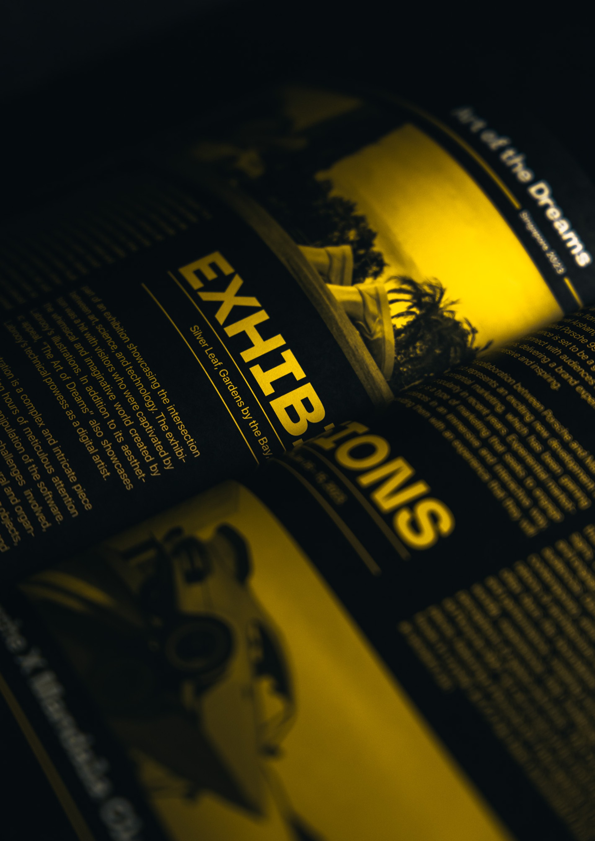Beyond the Ordinary \ Publication Design