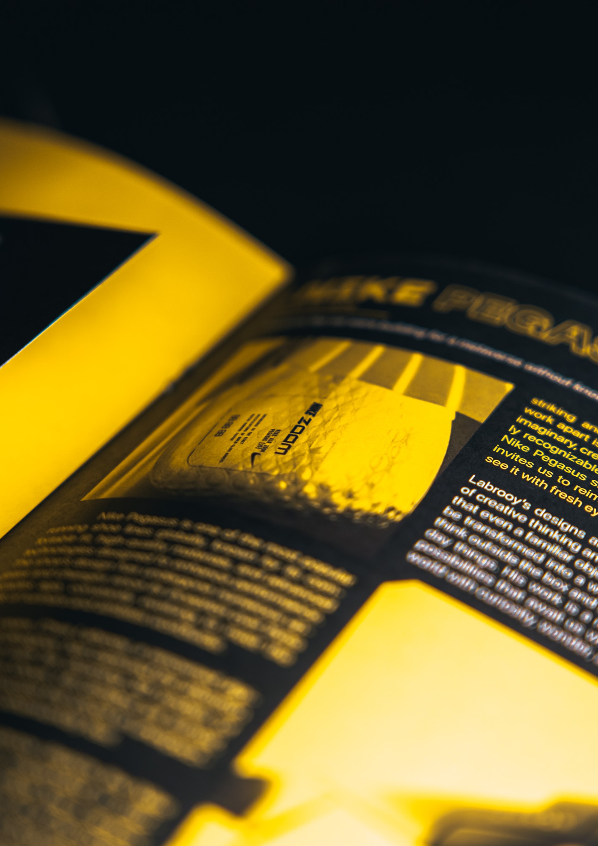 Beyond the Ordinary \ Publication Design